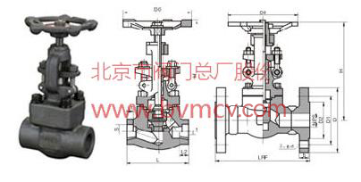 2025022520952634.jpg 2025022520952634.jpg