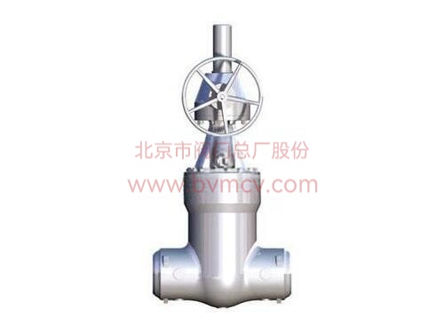 加氢自密封闸阀